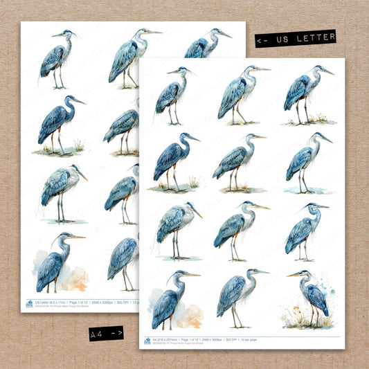 A4 and US Letter format comparison showing Proud Heron fussy cut pages for print and cut crafting