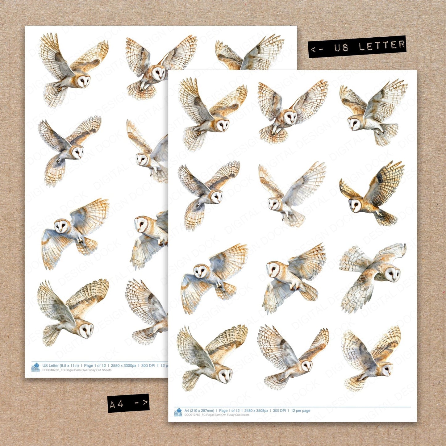 Regal Barn Owl Fussy Cut Sheets (DDD010782)