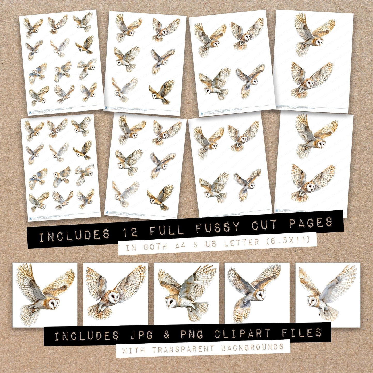 Regal Barn Owl Fussy Cut Sheets (DDD010782)