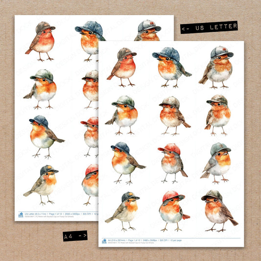 A4 and US Letter format comparison showing Robin with Basball Cap on fussy cut pages for print and cut crafting