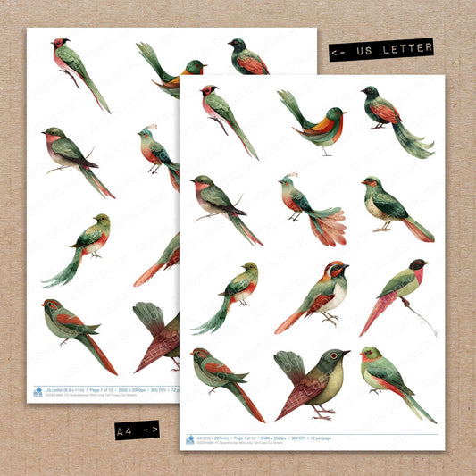 A4 and US Letter format comparison showing Scandinavian Bird Long Tail fussy cut pages for print and cut crafting