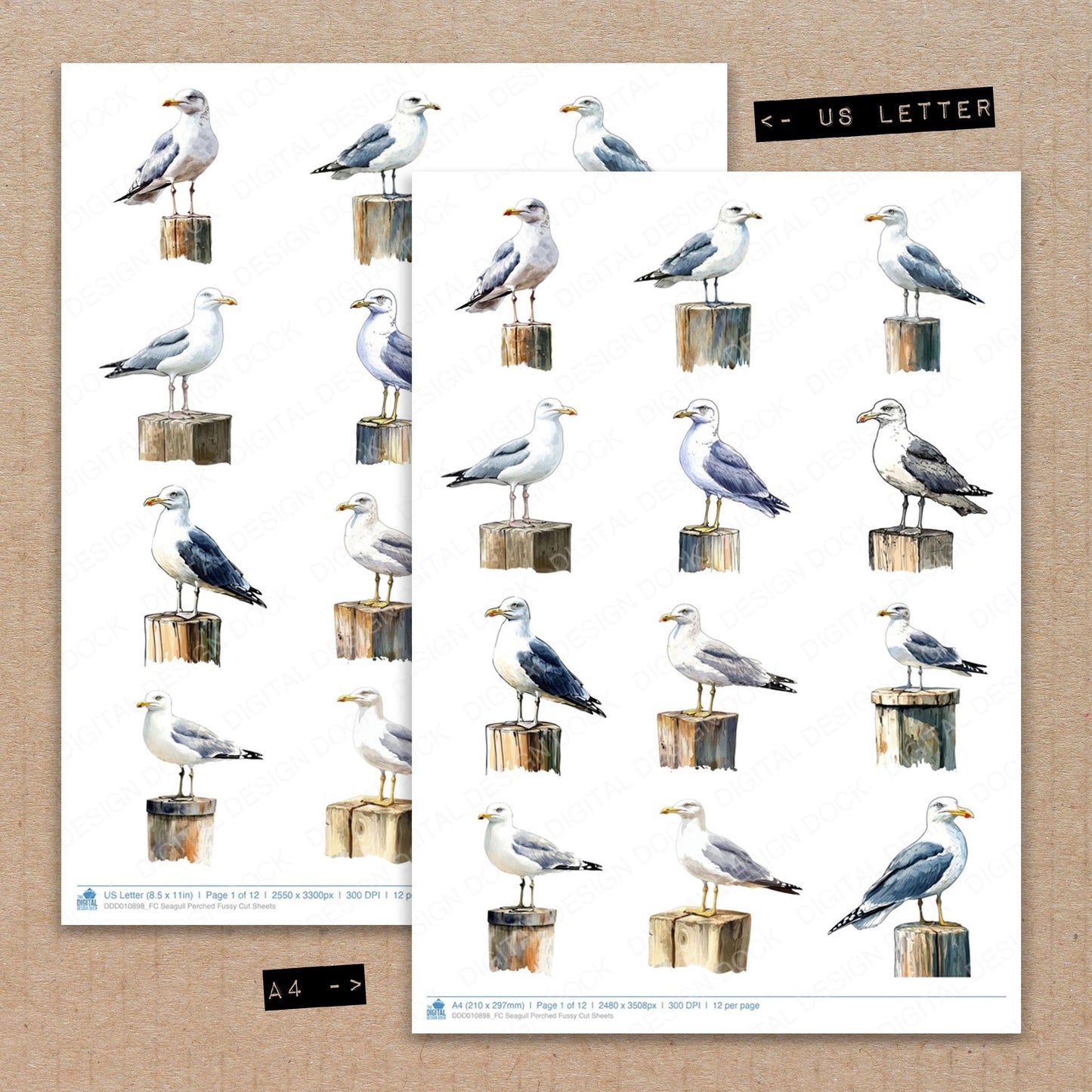 A4 and US Letter format comparison showing Seagull Perched fussy cut pages for print and cut crafting