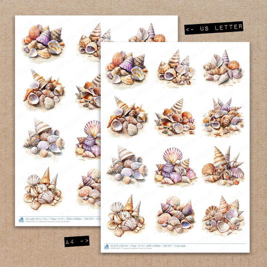 A4 and US Letter format comparison showing Seashell Collection fussy cut pages for print and cut crafting