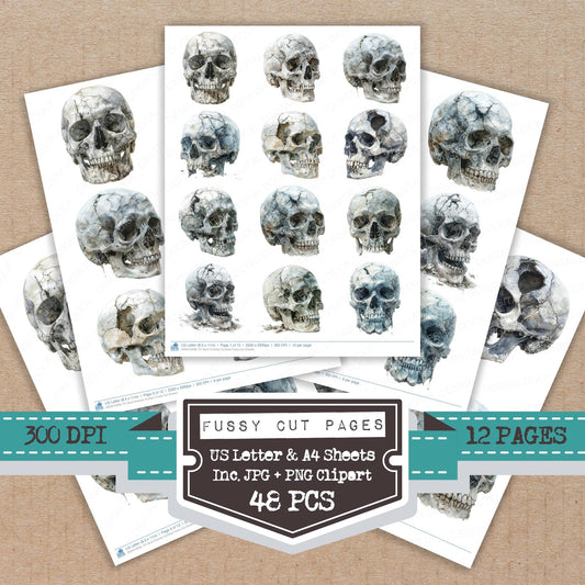 Skull Cracked Surface Fussy Cut Sheets (DDD010938)