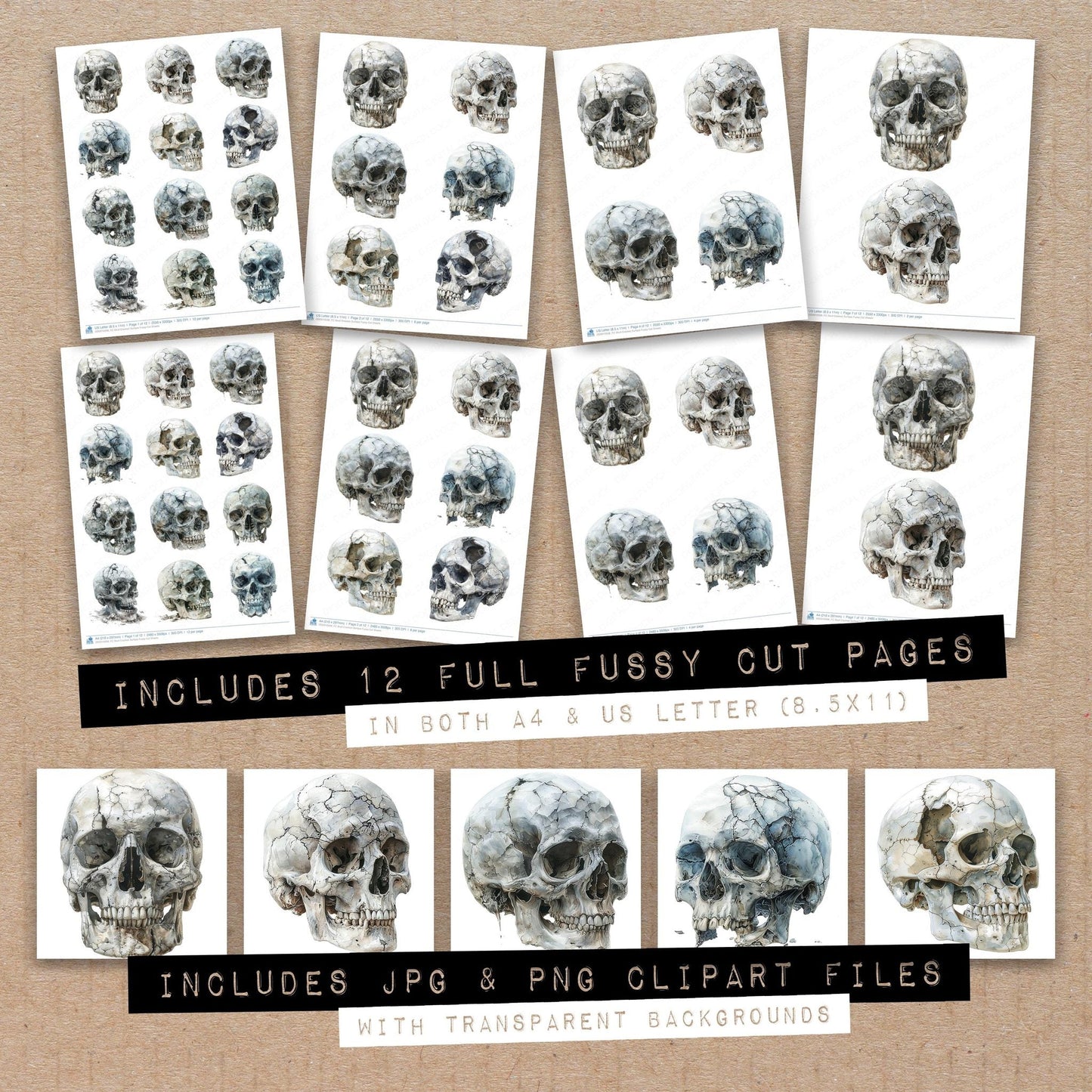 Skull Cracked Surface Fussy Cut Sheets (DDD010938)