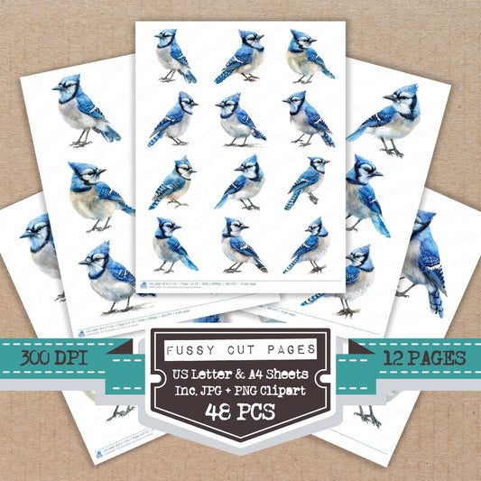 Small Blue Jay fussy cut printable sheets for junk journaling, scrapbooking, and paper craft projects