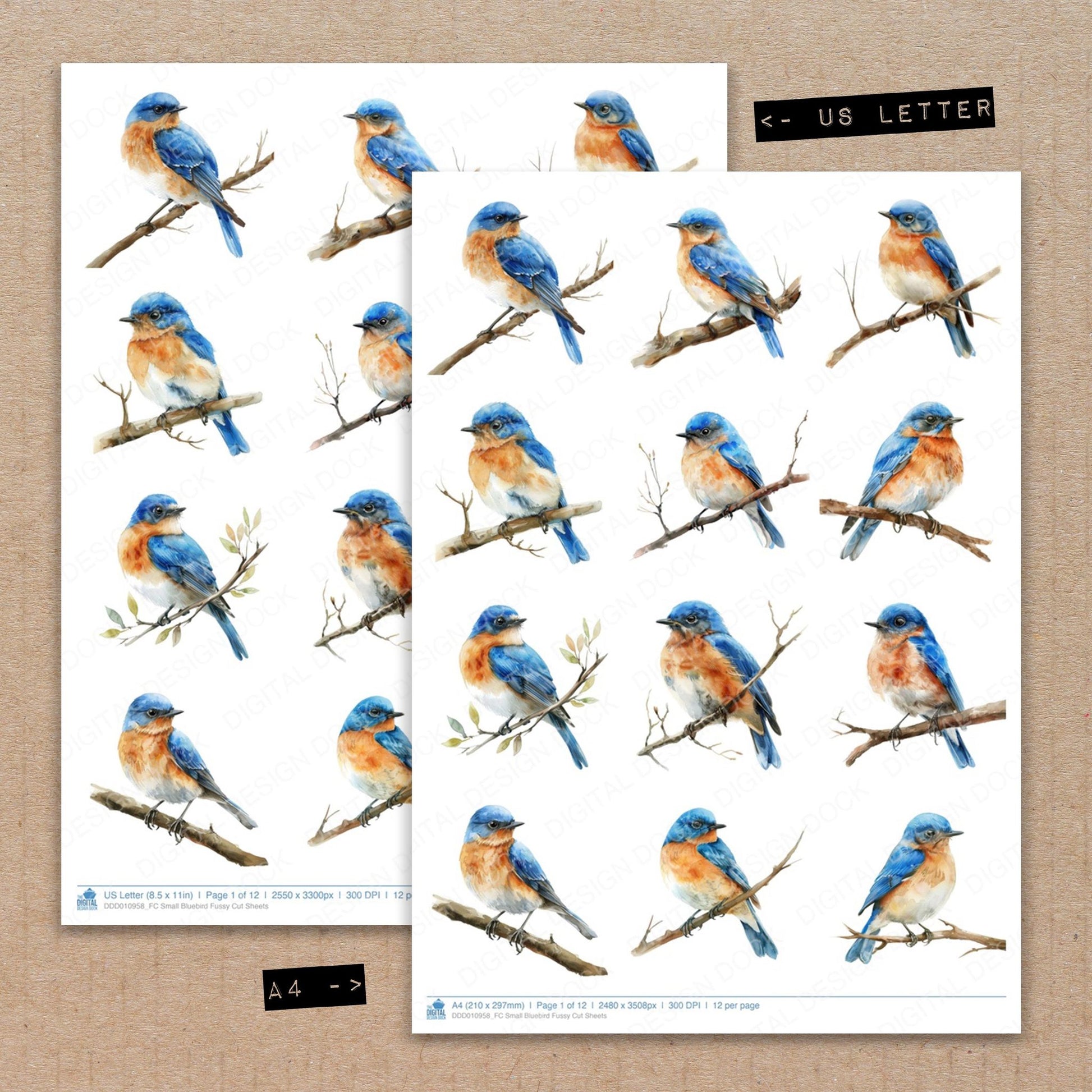 A4 and US Letter format comparison showing Small Bluebird fussy cut pages for print and cut crafting
