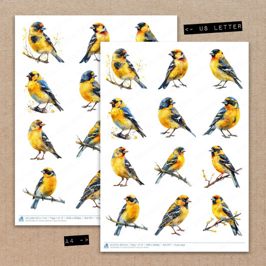 A4 and US Letter format comparison showing Small Goldfinch fussy cut pages for print and cut crafting