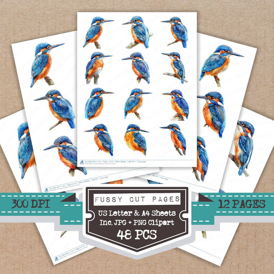 Small Kingfisher fussy cut printable sheets for junk journaling, scrapbooking, and paper craft projects