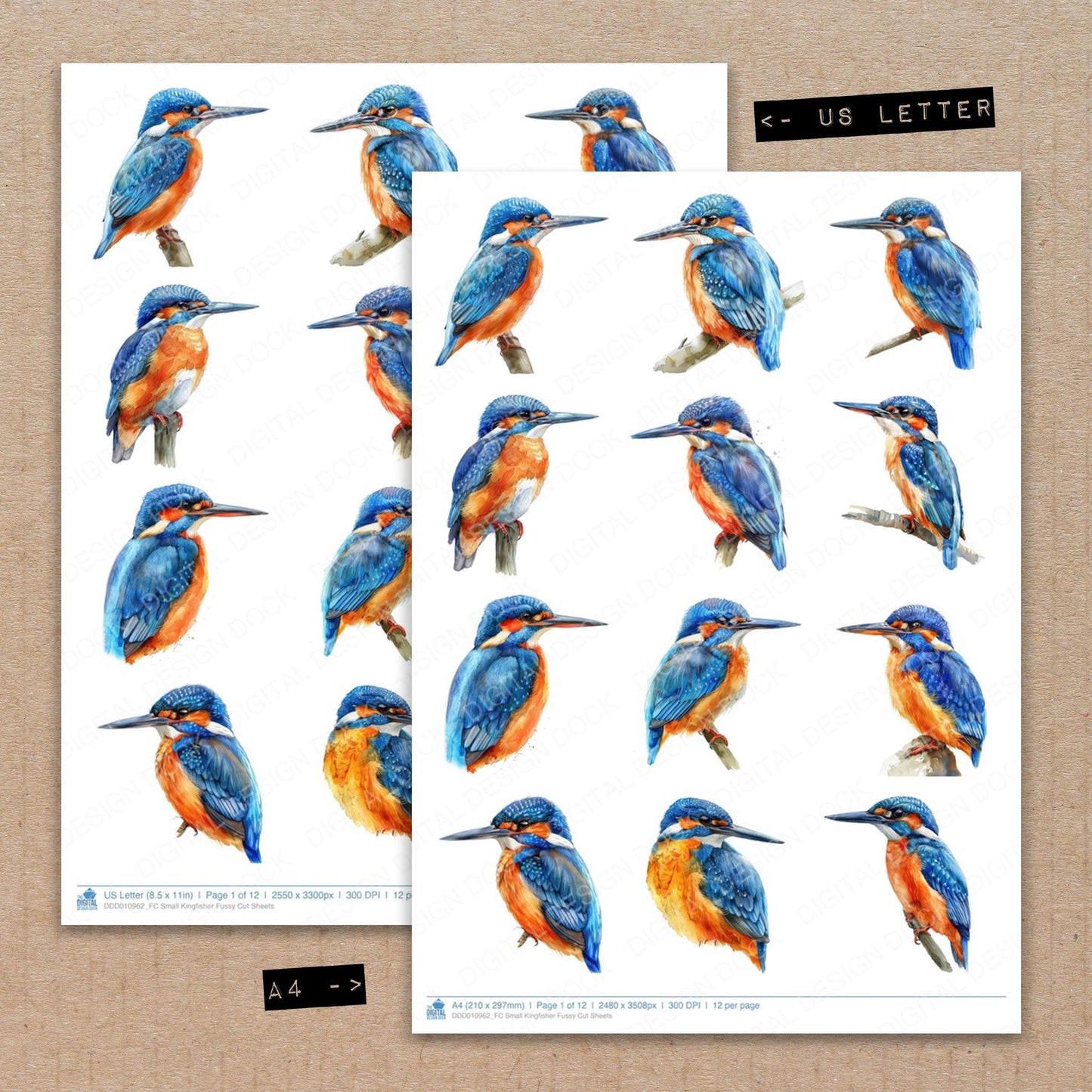A4 and US Letter format comparison showing Small Kingfisher fussy cut pages for print and cut crafting