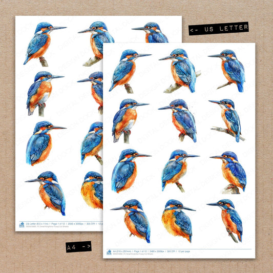 A4 and US Letter format comparison showing Small Kingfisher fussy cut pages for print and cut crafting