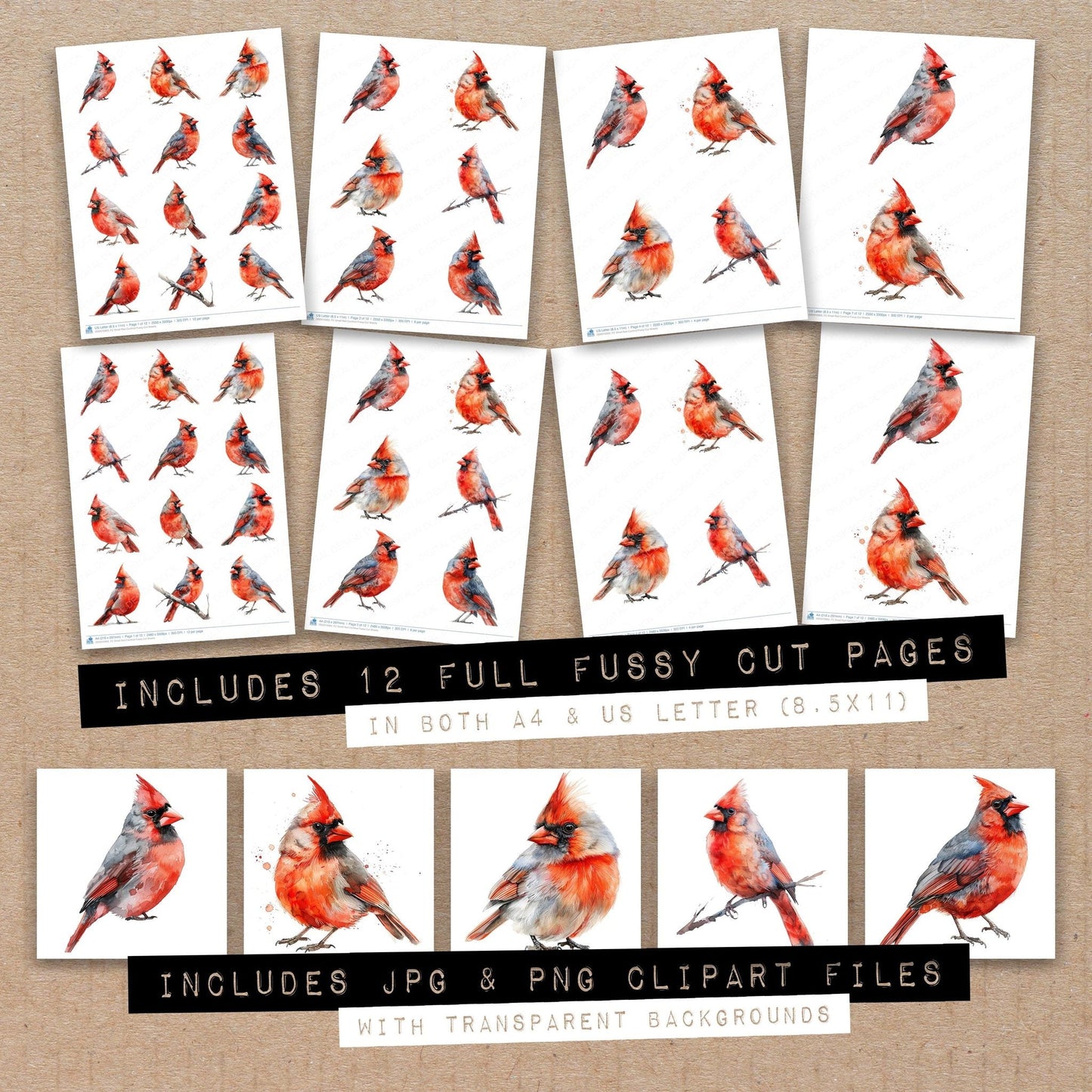 Small Red Cardinal Fussy Cut Sheets (DDD010963)
