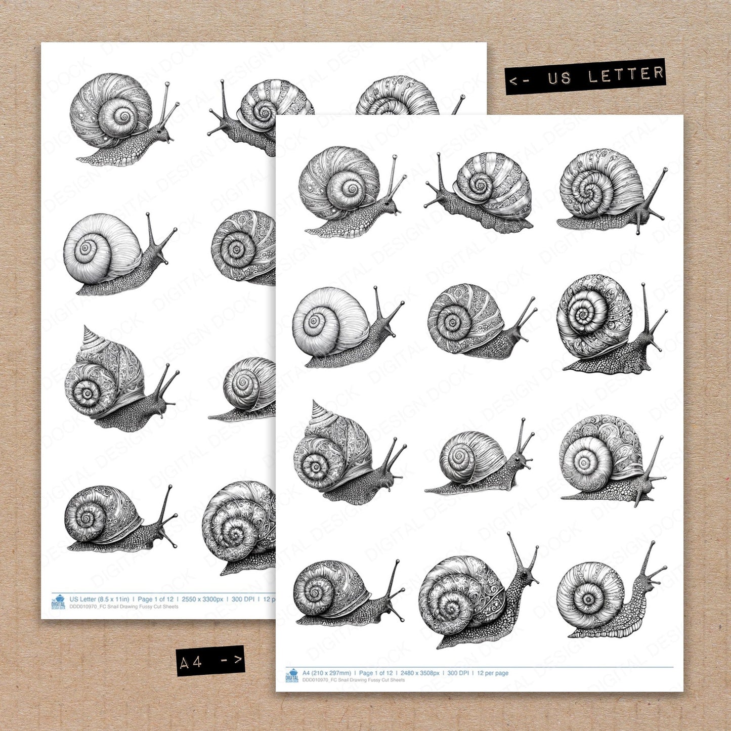 A4 and US Letter format comparison showing Snail Drawing fussy cut pages for print and cut crafting