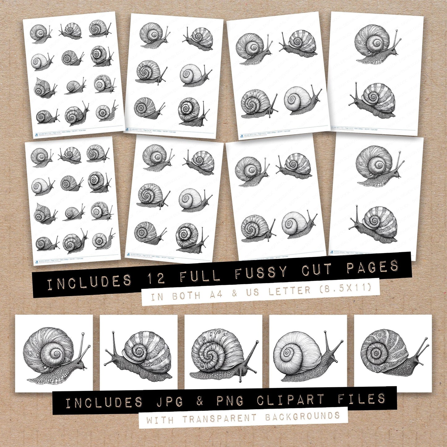 Full collection view of Snail Drawing fussy cut sheets with bonus clipart JPG and PNG files