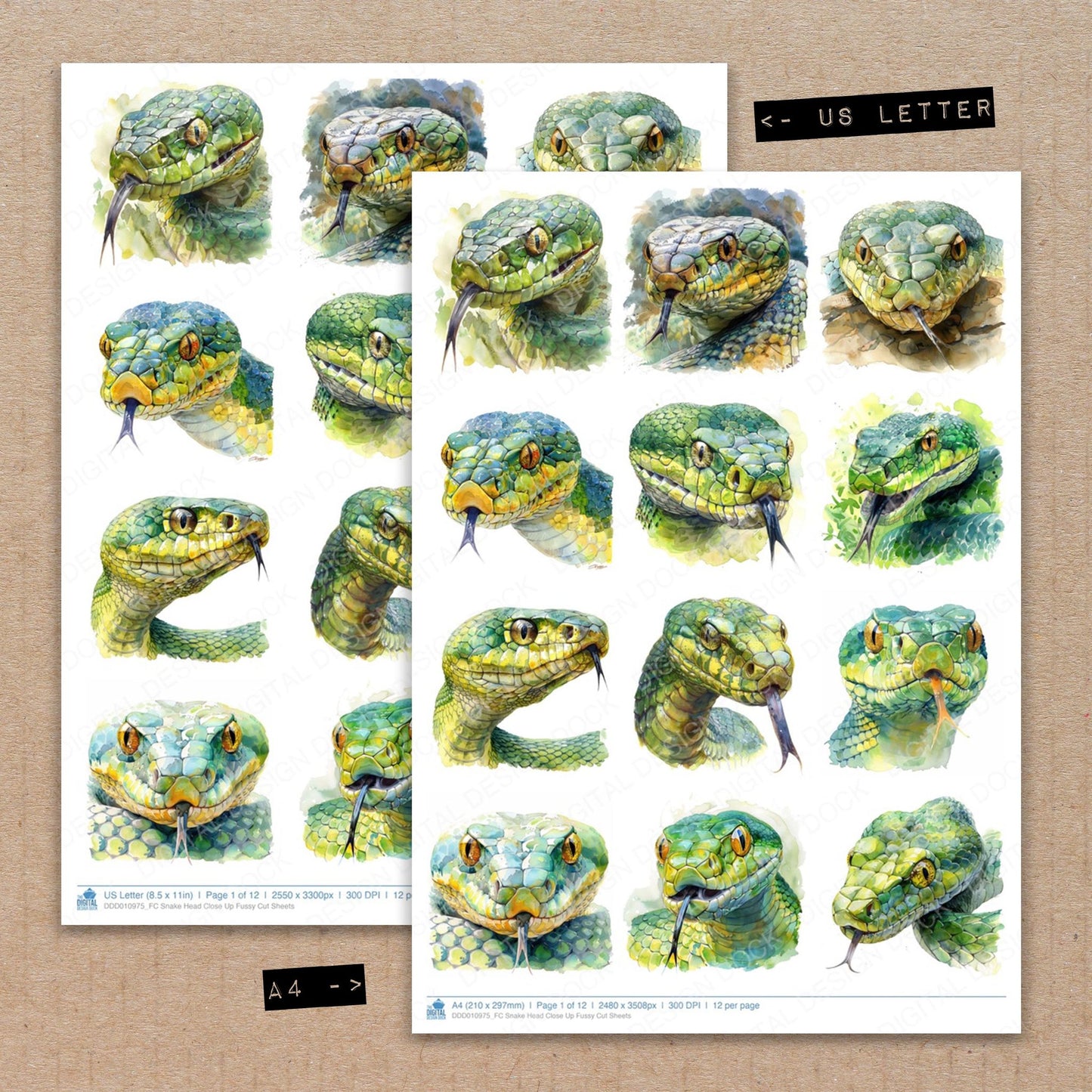 A4 and US Letter format comparison showing Snake Head Close Up fussy cut pages for print and cut crafting