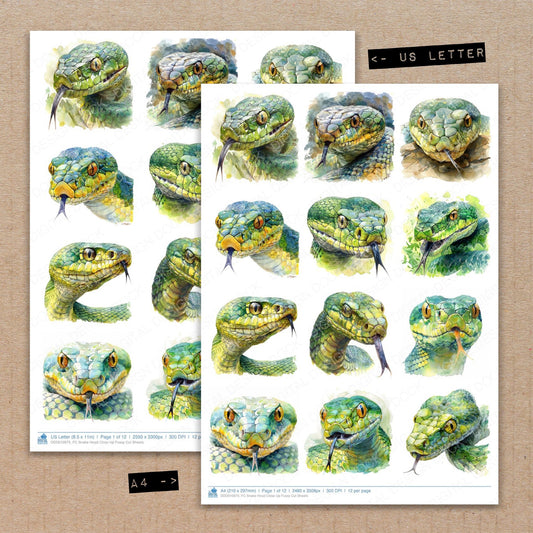 A4 and US Letter format comparison showing Snake Head Close Up fussy cut pages for print and cut crafting