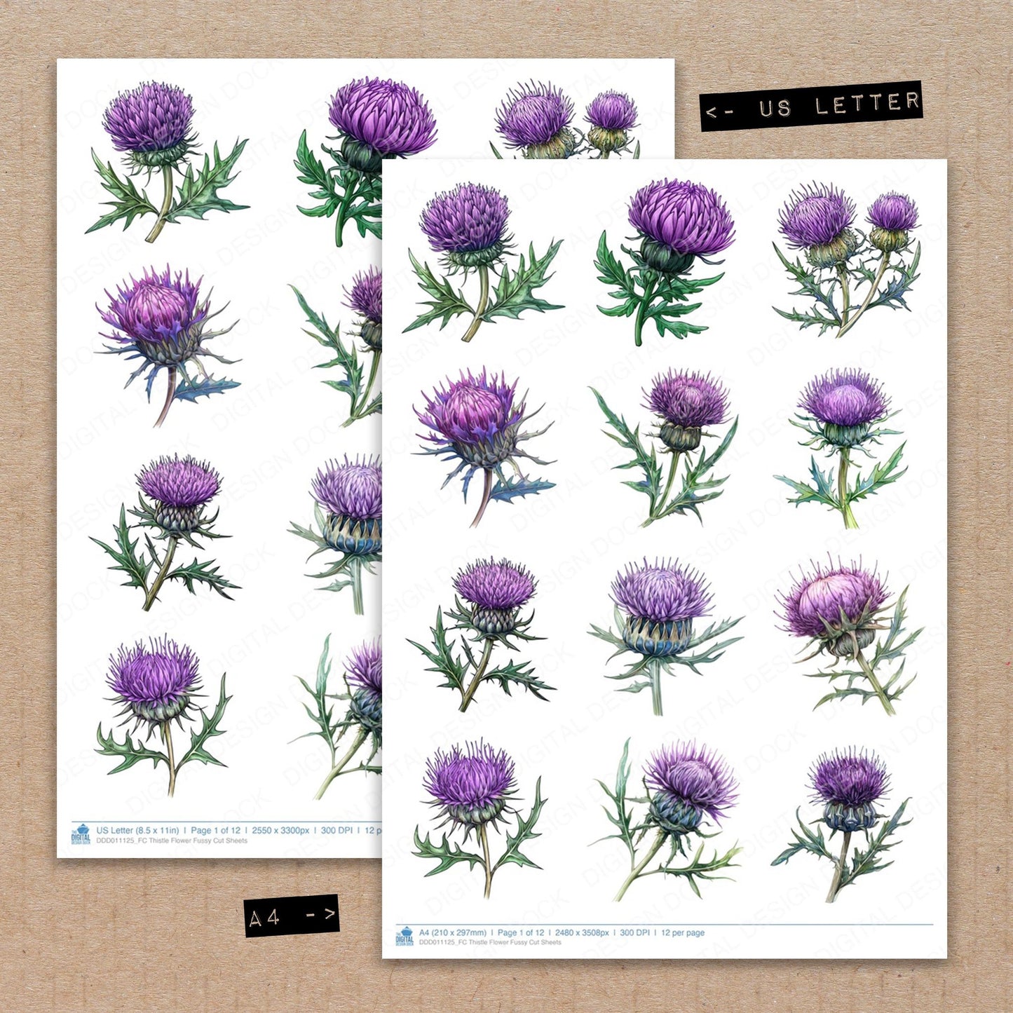 A4 and US Letter format comparison showing Thistle Flower fussy cut pages for print and cut crafting