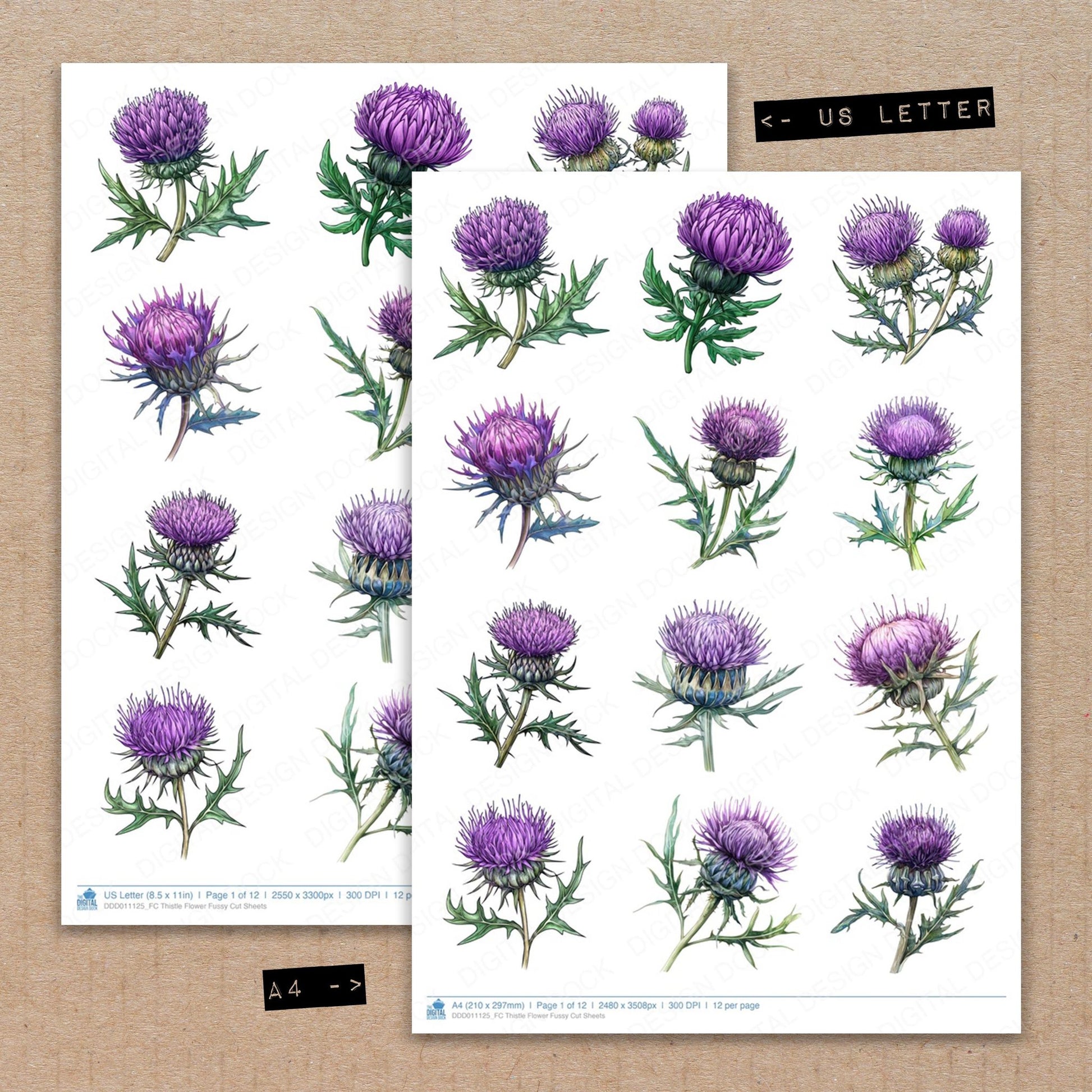A4 and US Letter format comparison showing Thistle Flower fussy cut pages for print and cut crafting