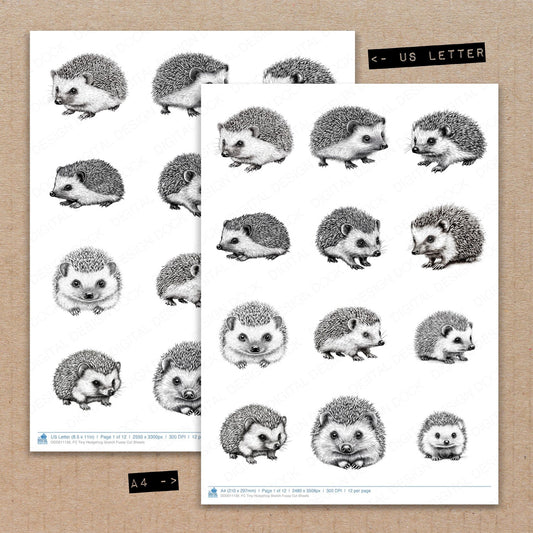 A4 and US Letter format comparison showing Tiny Hedgehog Sketch fussy cut pages for print and cut crafting