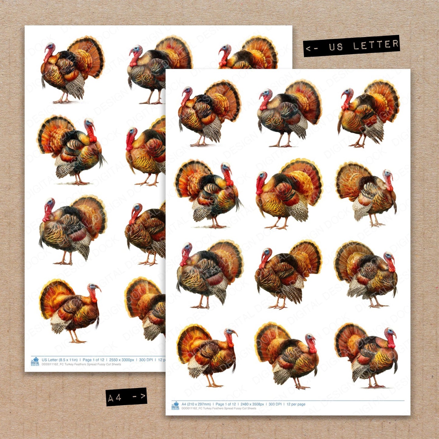 A4 and US Letter format comparison showing Turkey Feathers Spread fussy cut pages for print and cut crafting