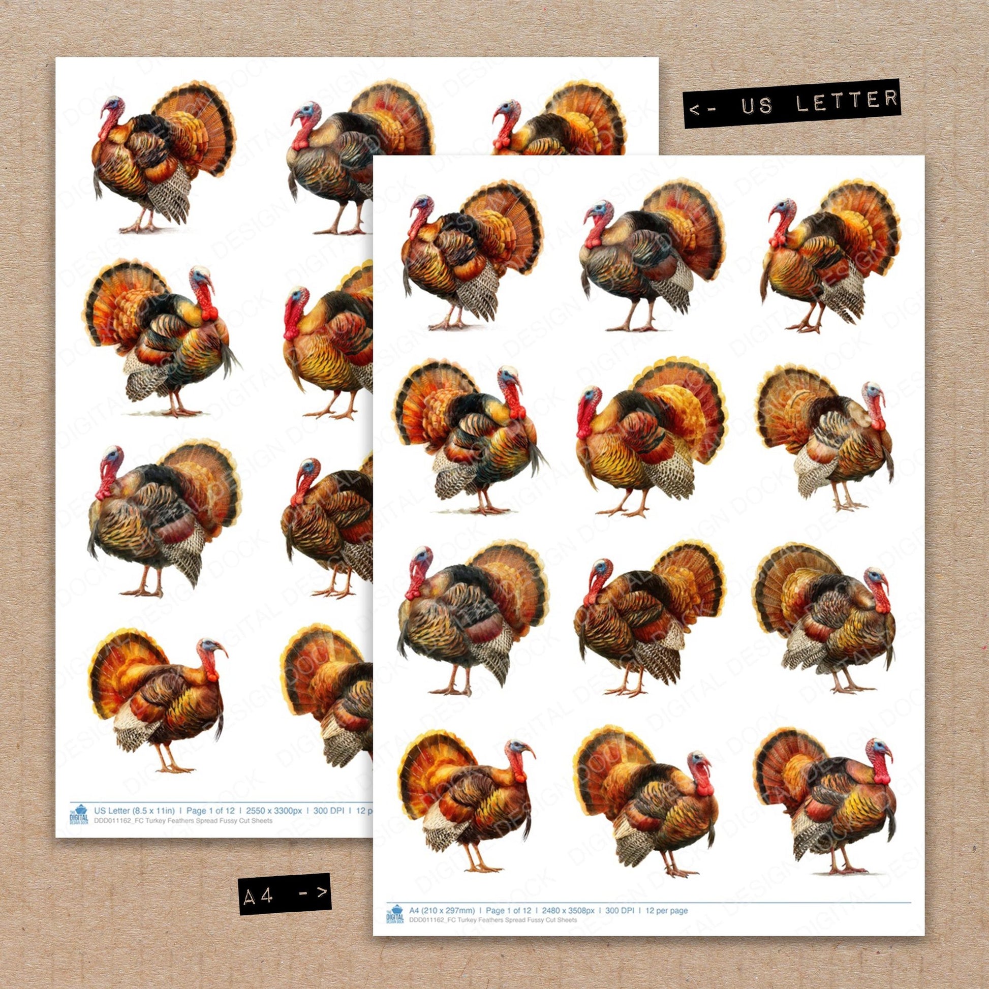 A4 and US Letter format comparison showing Turkey Feathers Spread fussy cut pages for print and cut crafting