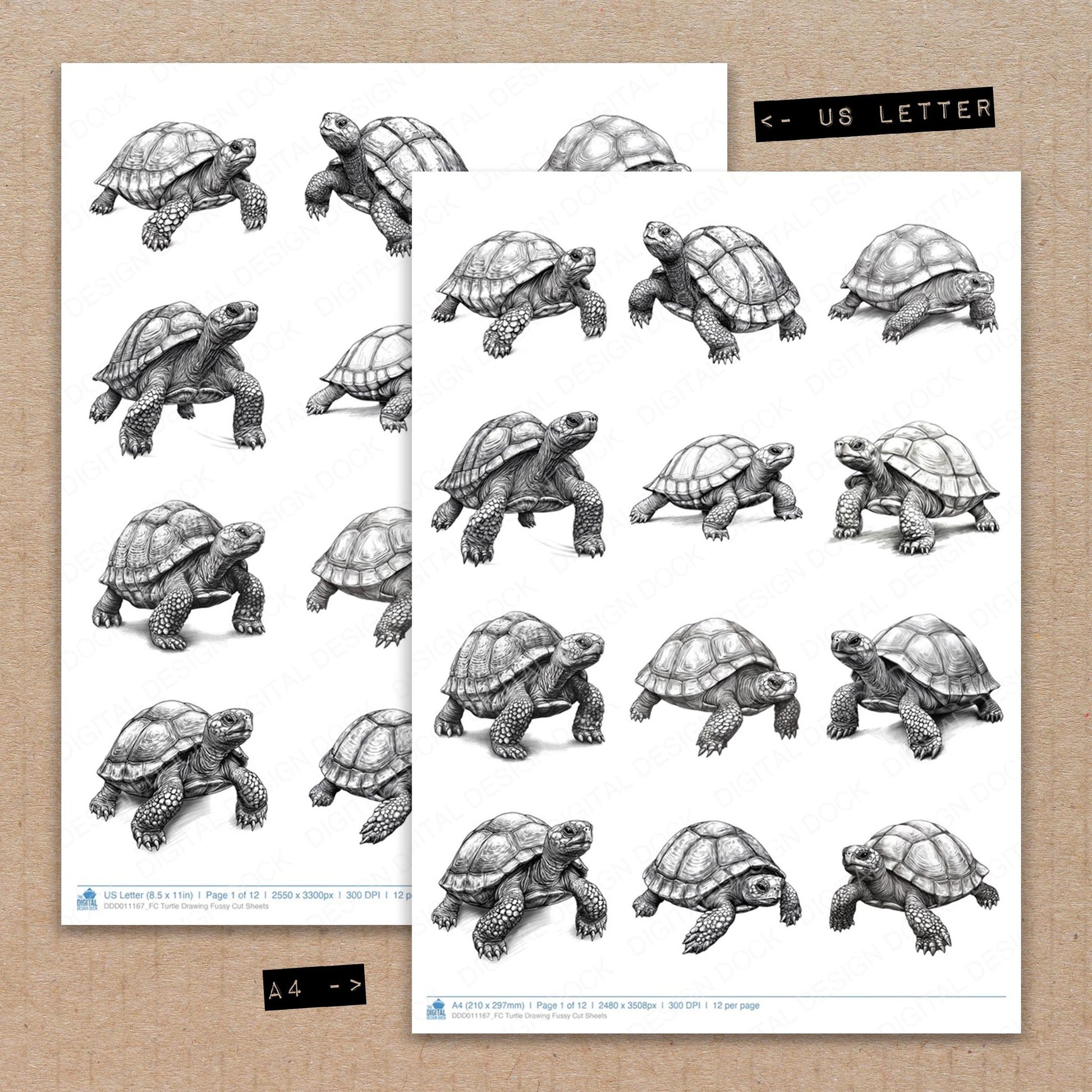 A4 and US Letter format comparison showing Turtle Drawing fussy cut pages for print and cut crafting