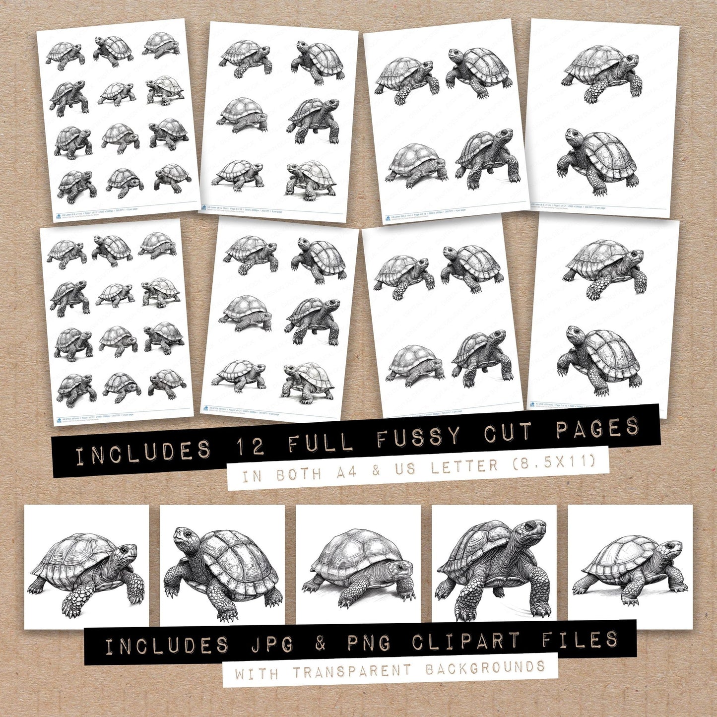Full collection view of Turtle Drawing fussy cut sheets with bonus clipart JPG and PNG files