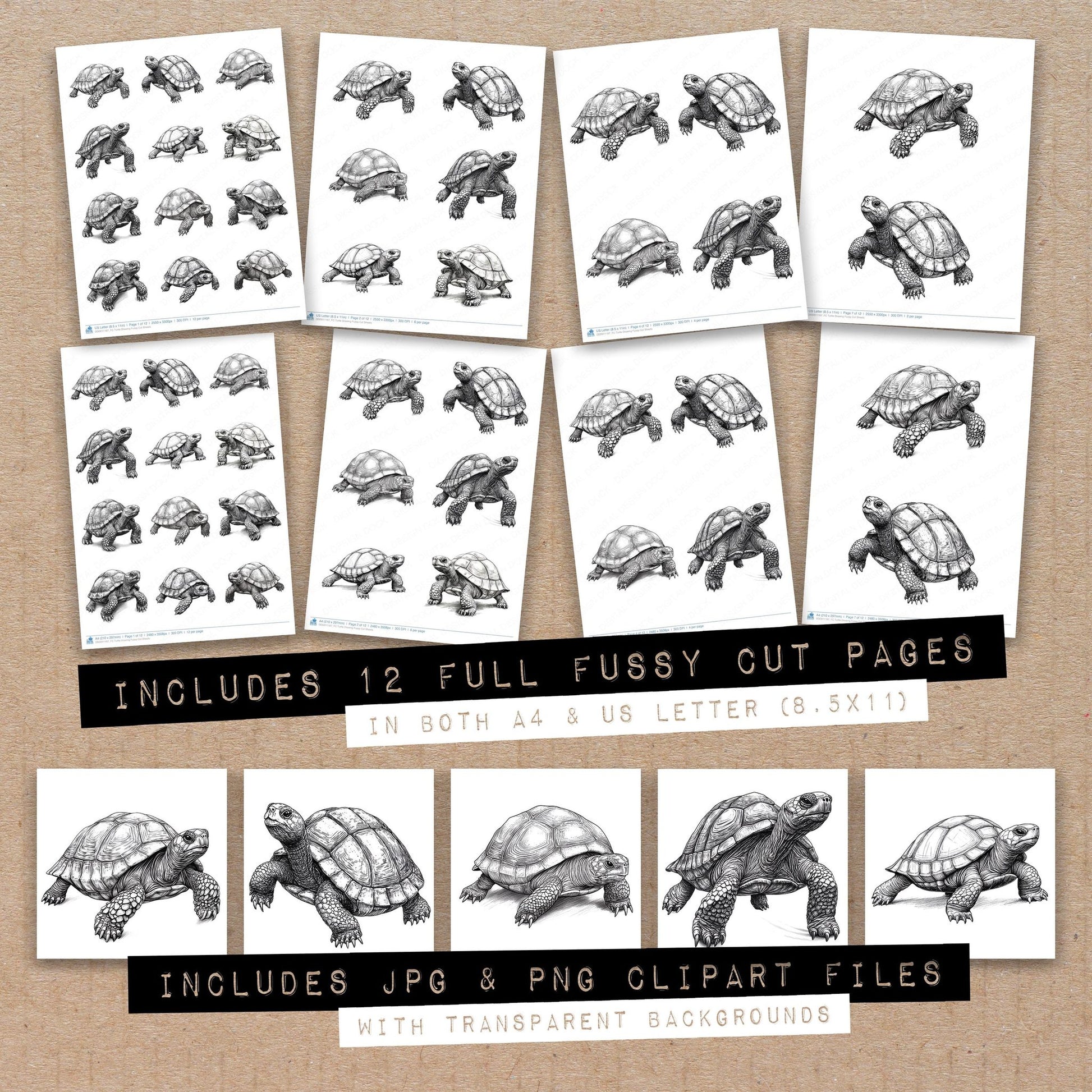 Full collection view of Turtle Drawing fussy cut sheets with bonus clipart JPG and PNG files