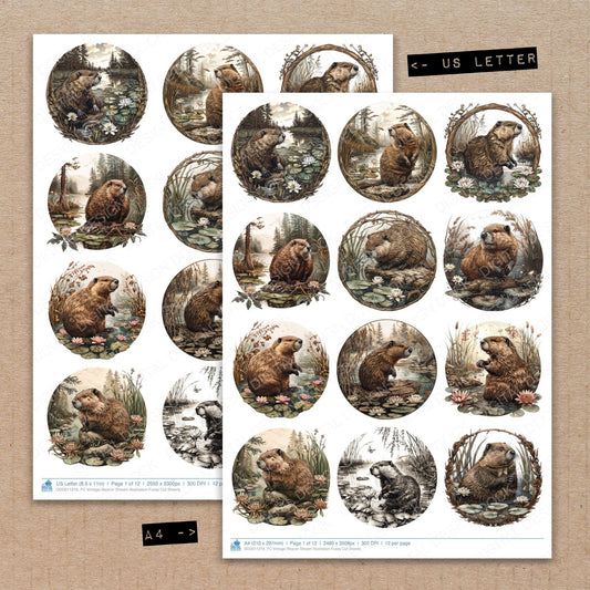 A4 and US Letter format comparison showing Vintage Beaver Stream Illustration fussy cut pages for print and cut crafting