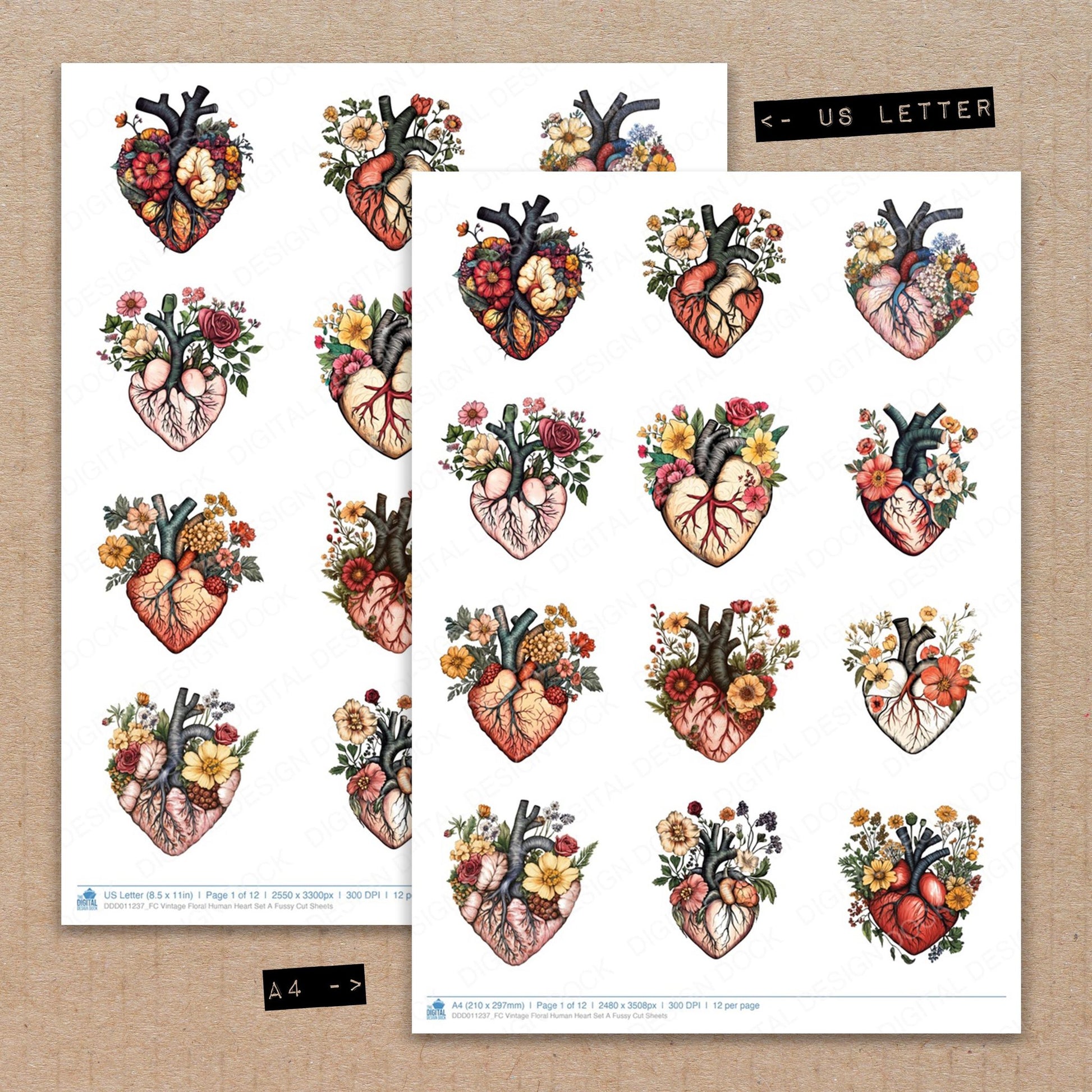 A4 and US Letter format comparison showing Vintage Floral Human Heart A fussy cut pages for print and cut crafting