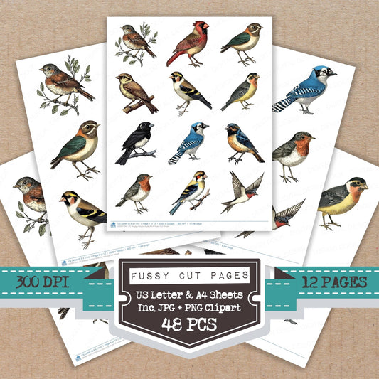 Vintage Garden Birds Set A Fussy Cut Sheets (DDD011247)