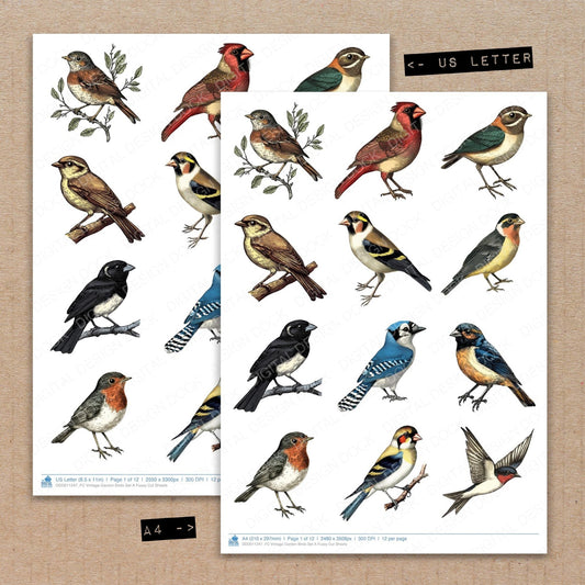 Vintage Garden Birds Set A Fussy Cut Sheets (DDD011247)
