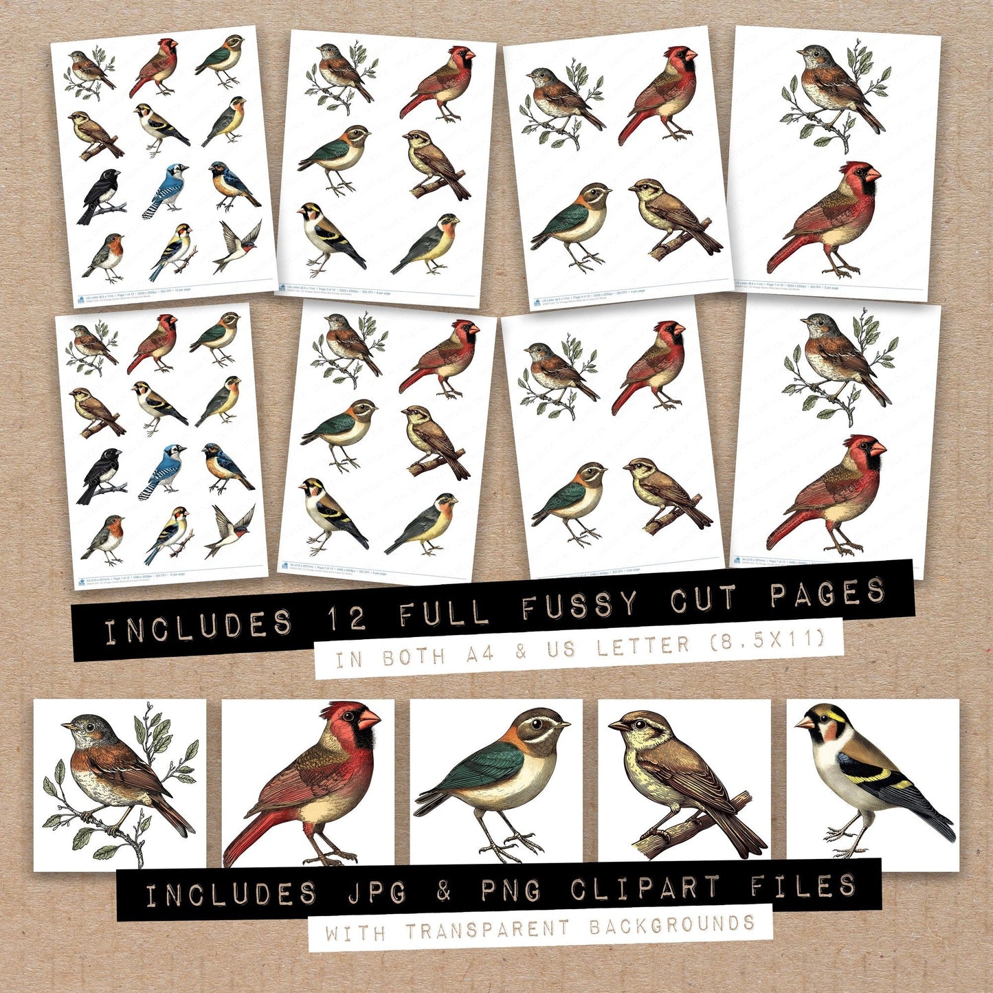 Vintage Garden Birds Set A Fussy Cut Sheets (DDD011247)