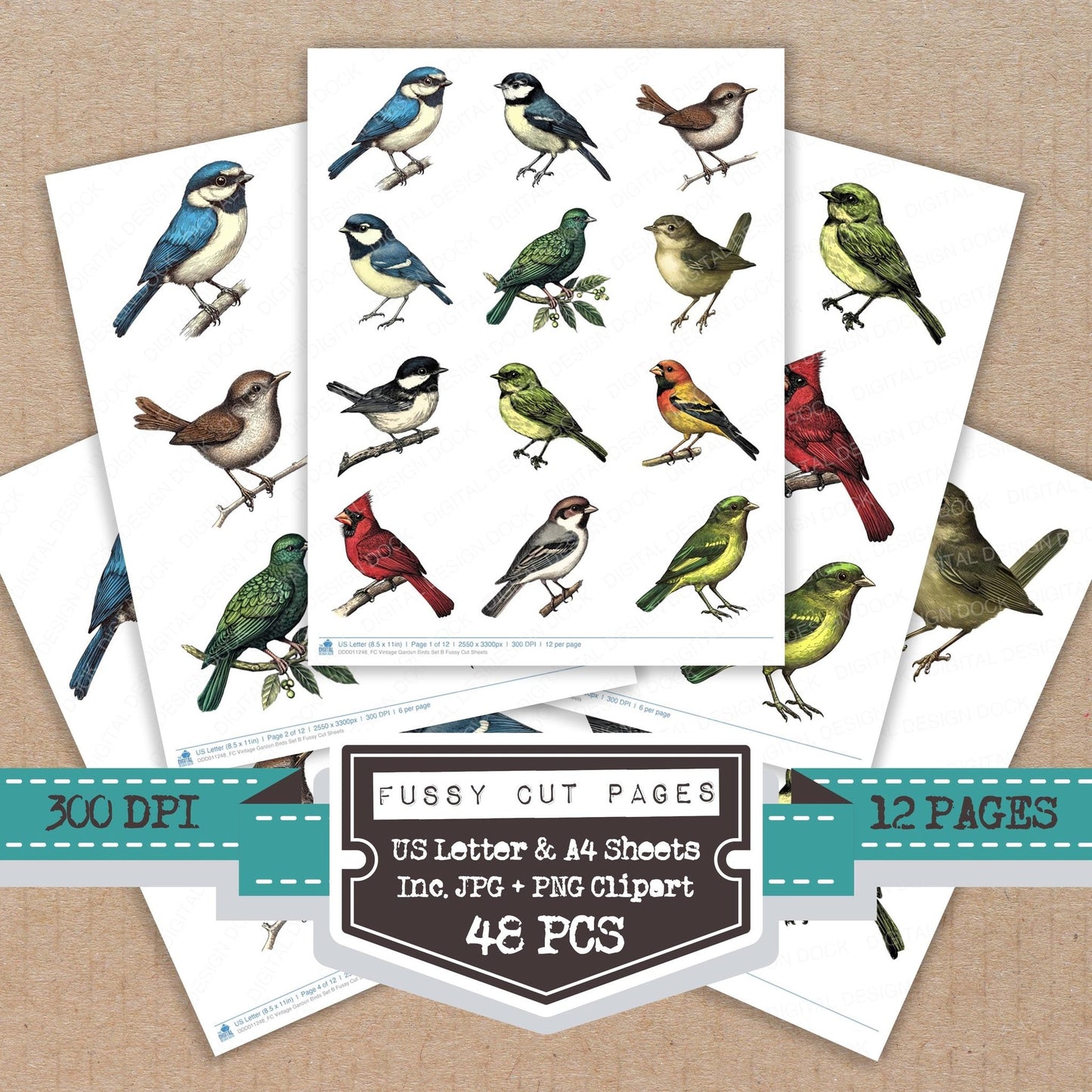 Vintage Garden Birds Set B Fussy Cut Sheets (DDD011248)