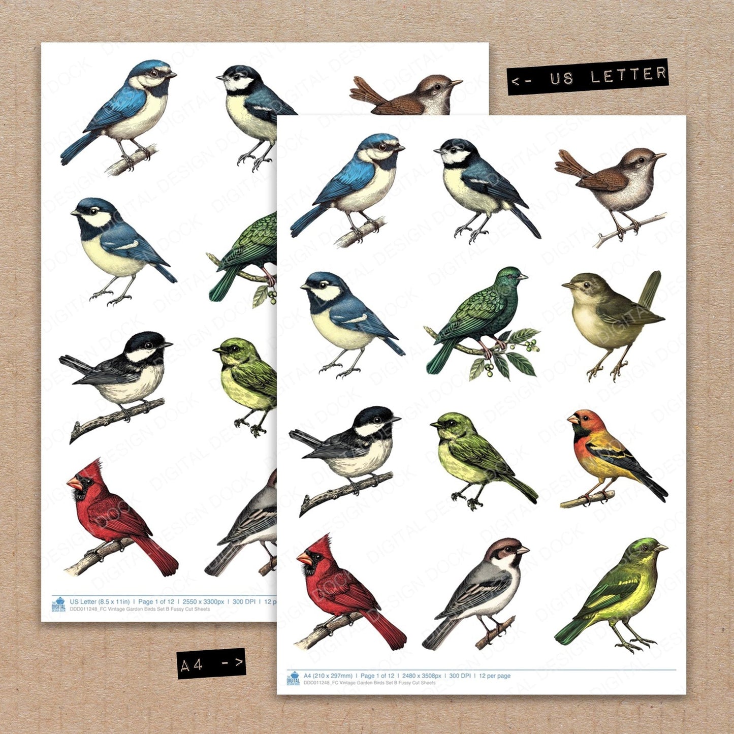 Vintage Garden Birds Set B Fussy Cut Sheets (DDD011248)