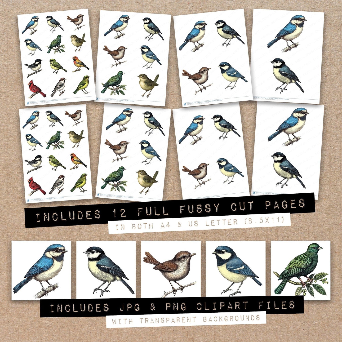 Vintage Garden Birds Set B Fussy Cut Sheets (DDD011248)