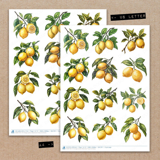 A4 and US Letter format comparison showing Vintage Lemons Watercolour fussy cut pages for print and cut crafting