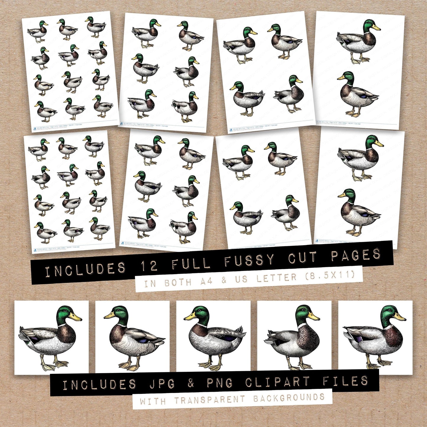Full collection view of VIntage Mallard Duck Illustration fussy cut sheets with bonus clipart JPG and PNG files