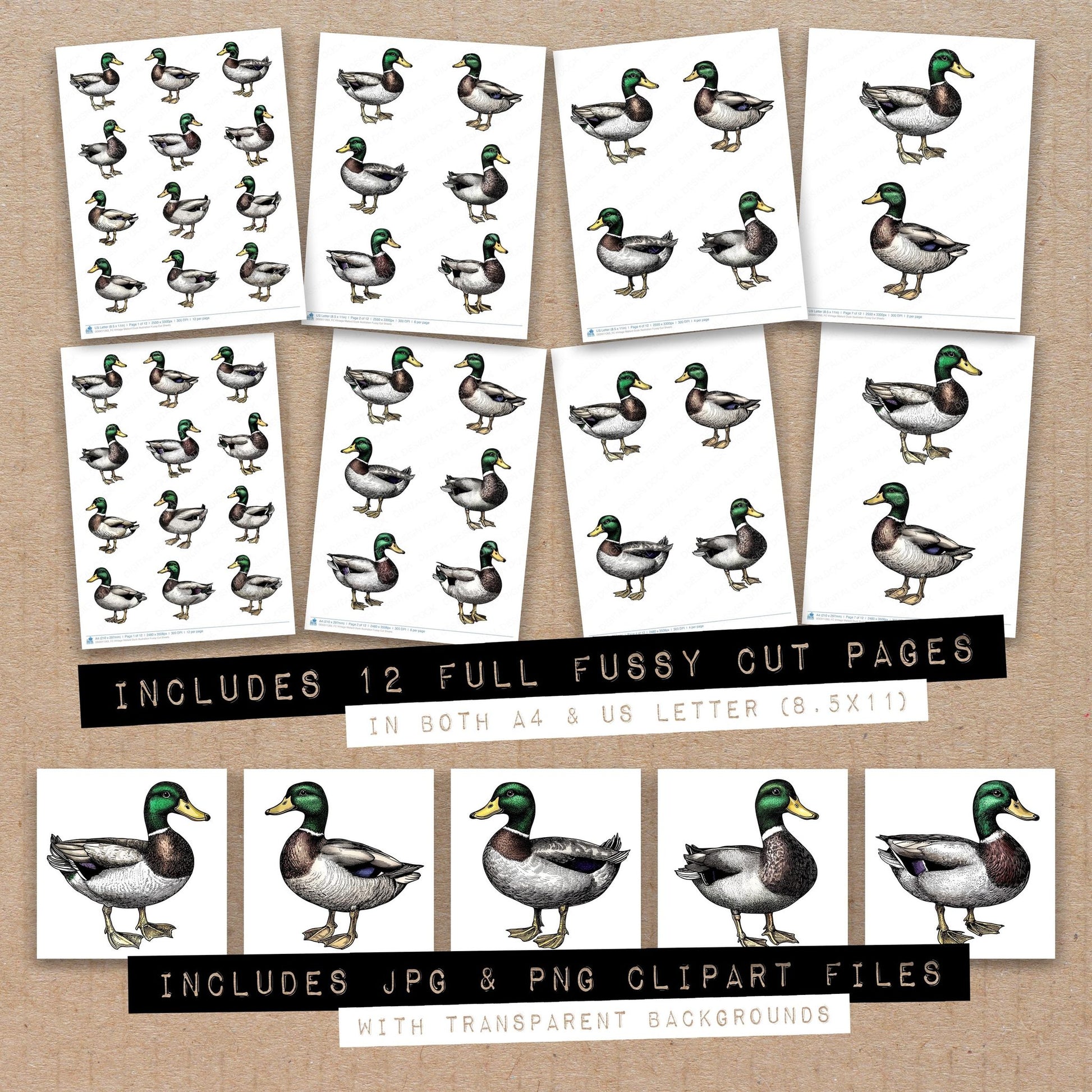 Full collection view of VIntage Mallard Duck Illustration fussy cut sheets with bonus clipart JPG and PNG files