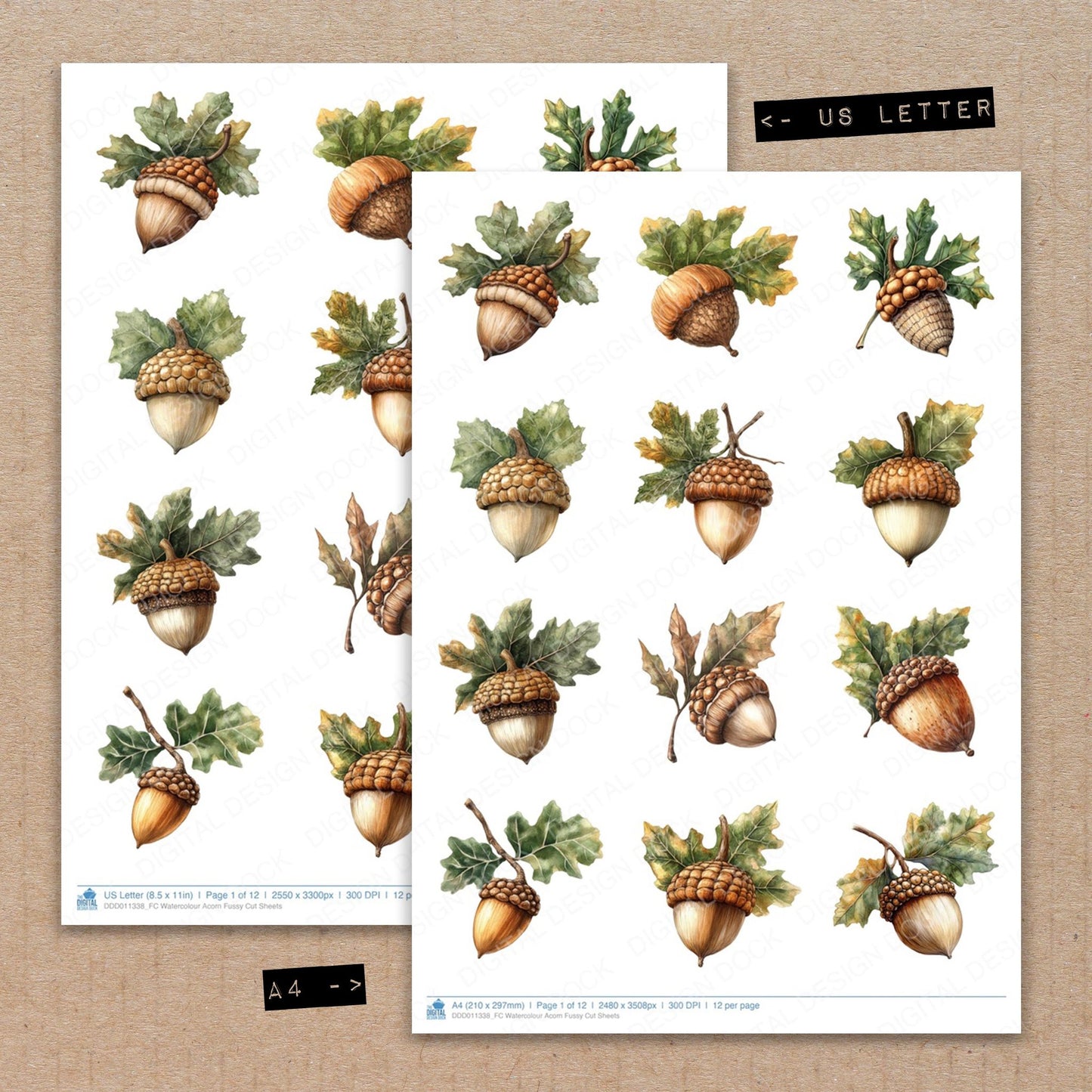 A4 and US Letter format comparison showing Watercolour Acorn fussy cut pages for print and cut crafting
