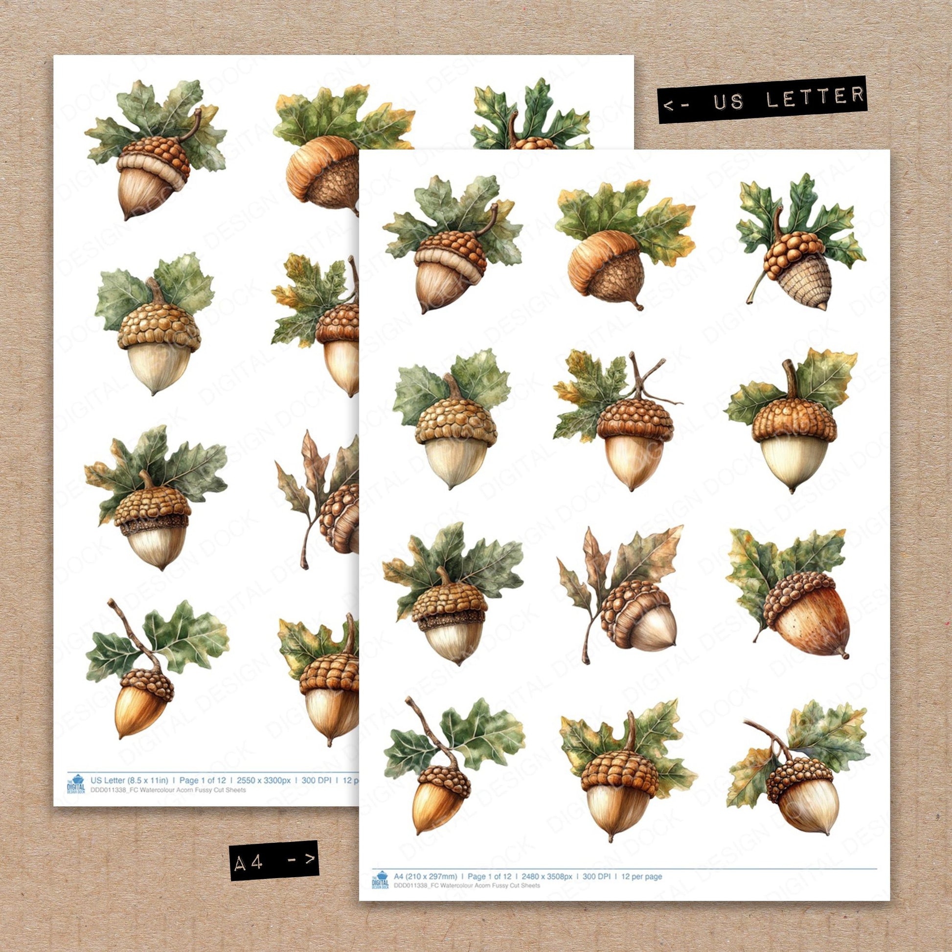 A4 and US Letter format comparison showing Watercolour Acorn fussy cut pages for print and cut crafting
