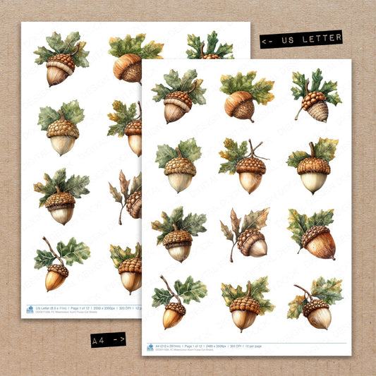 A4 and US Letter format comparison showing Watercolour Acorn fussy cut pages for print and cut crafting