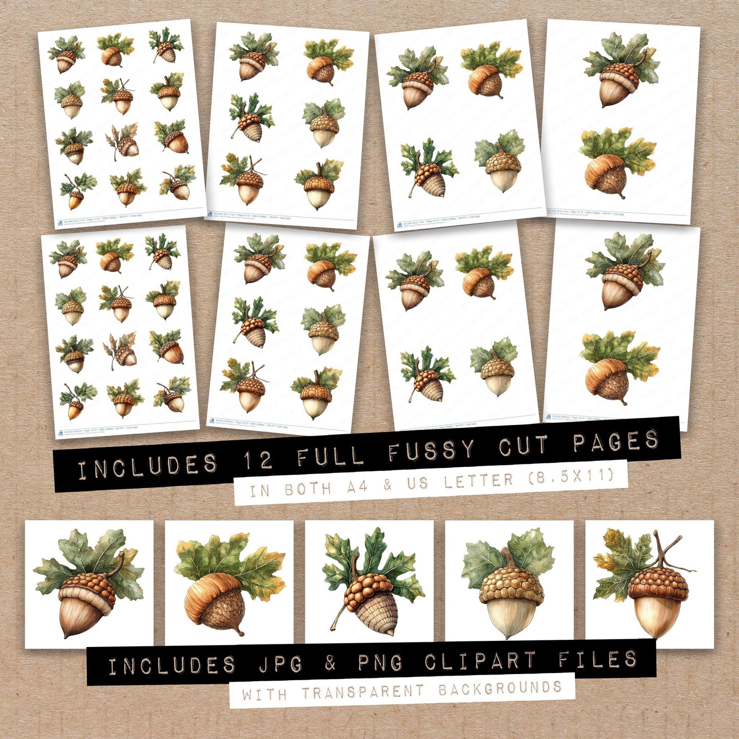 Full collection view of Watercolour Acorn fussy cut sheets with bonus clipart JPG and PNG files