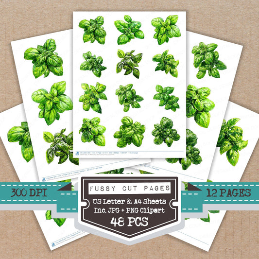 Watercolour Basil Leaves fussy cut printable sheets for junk journaling, scrapbooking, and paper craft projects
