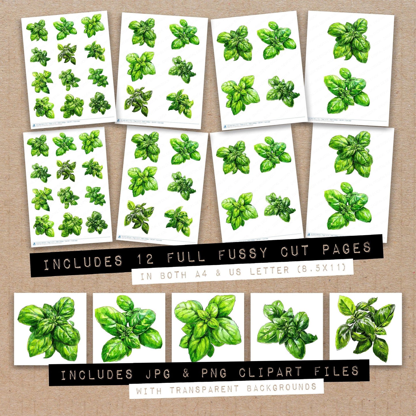 Full collection view of Watercolour Basil Leaves fussy cut sheets with bonus clipart JPG and PNG files