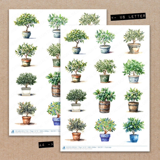 A4 and US Letter format comparison showing Watercolour Bay Tree fussy cut pages for print and cut crafting