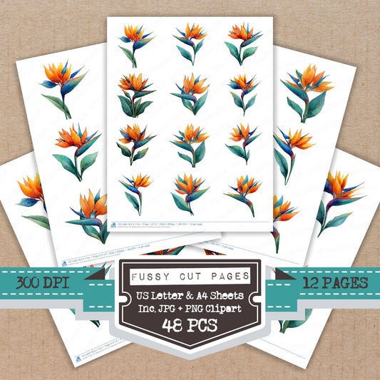 Watercolour Bird of Paradise fussy cut printable sheets for junk journaling, scrapbooking, and paper craft projects