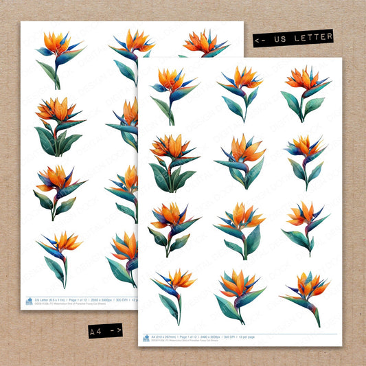 A4 and US Letter format comparison showing Watercolour Bird of Paradise fussy cut pages for print and cut crafting