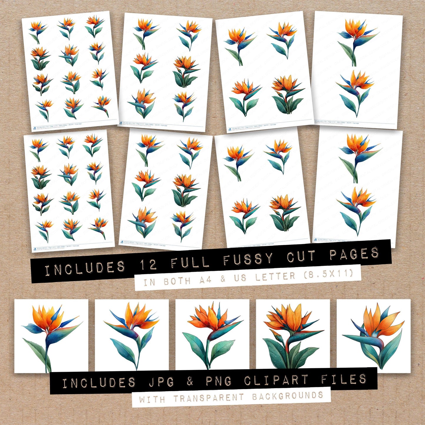 Full collection view of Watercolour Bird of Paradise fussy cut sheets with bonus clipart JPG and PNG files