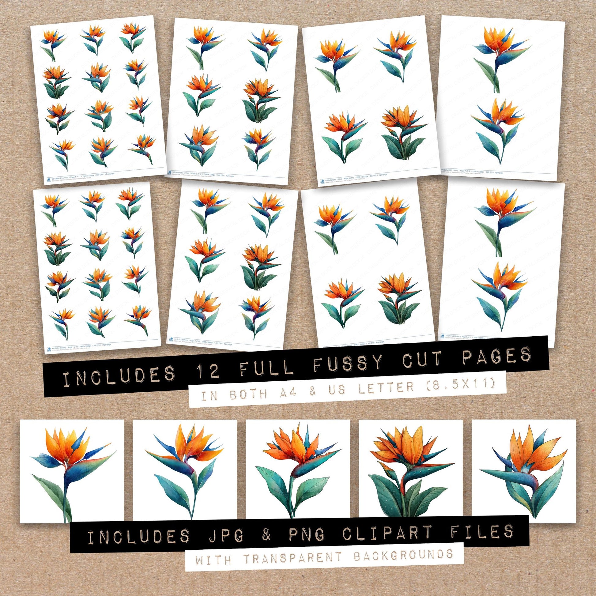 Full collection view of Watercolour Bird of Paradise fussy cut sheets with bonus clipart JPG and PNG files
